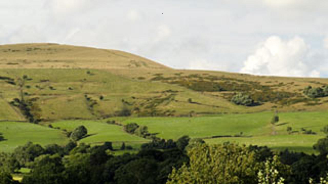 هوب Cheshire House Guest House المظهر الخارجي الصورة